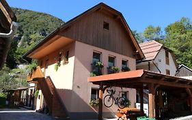 Apartma Na Vasi