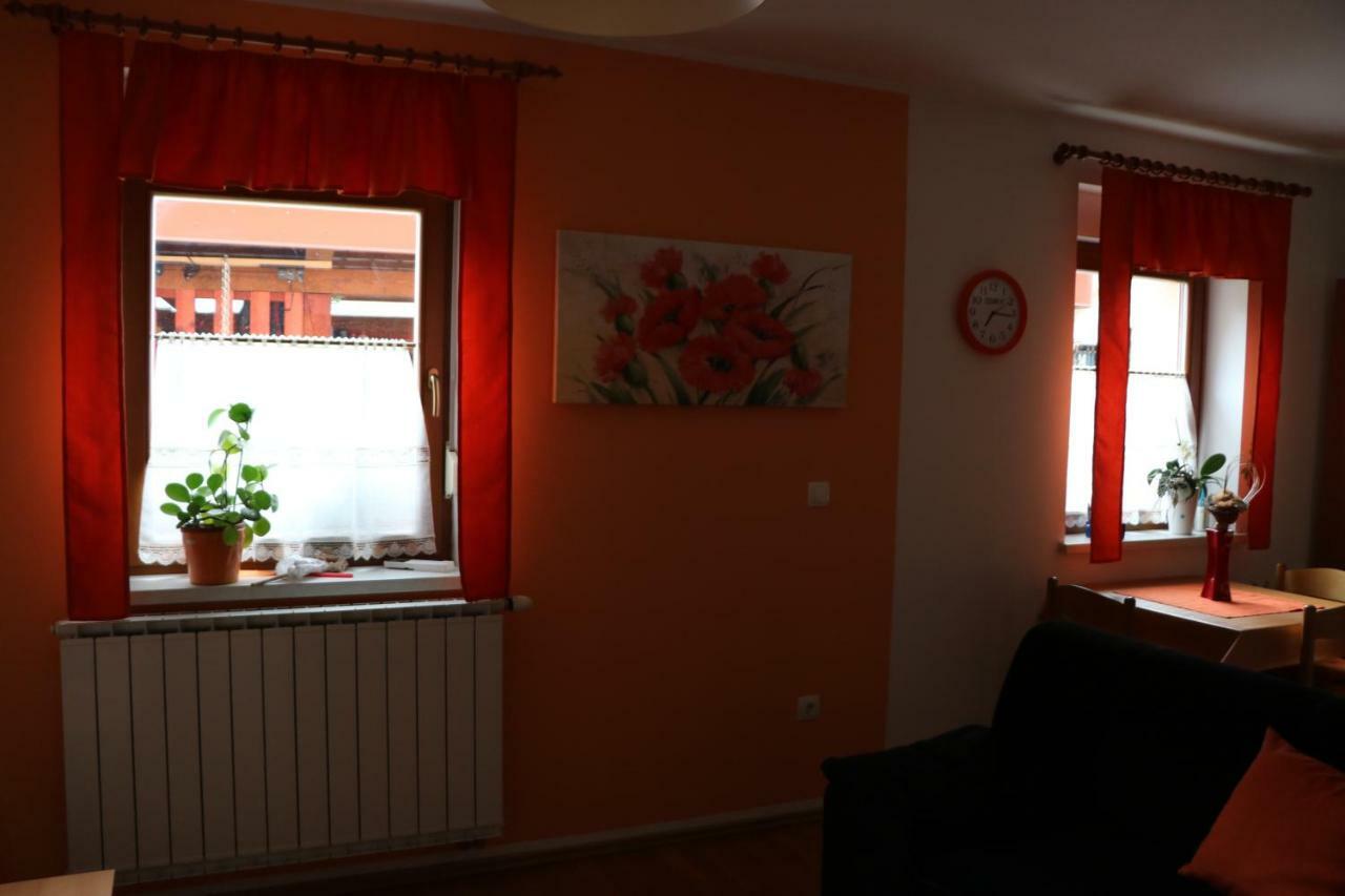 Appartement Apartma Na Vasi à Zaga Extérieur photo