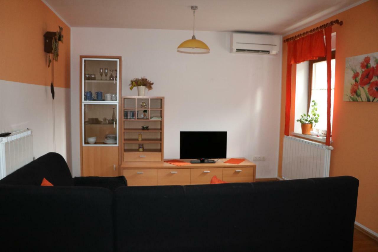 Appartement Apartma Na Vasi à Zaga Extérieur photo